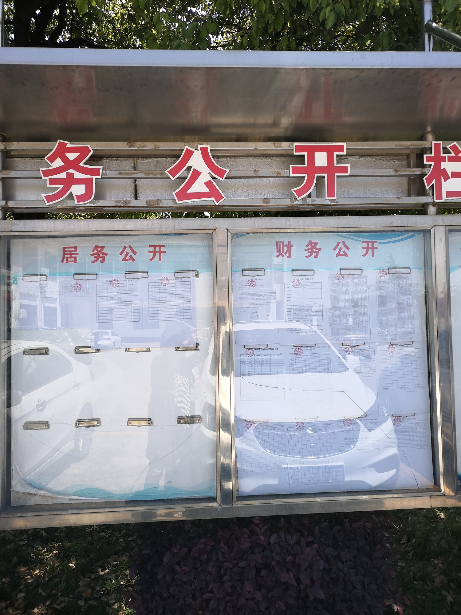 2019第一季度财务公开  远.jpg
