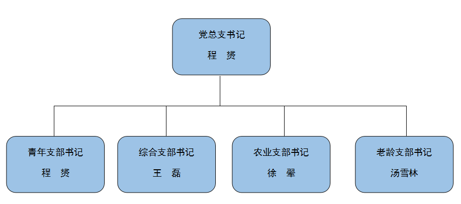 村委组织体系架构图图片